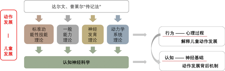 发展性协调障碍干预方法